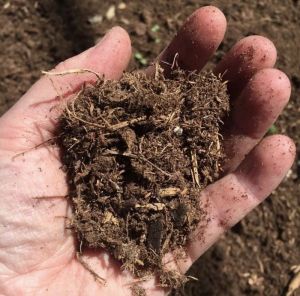 Organic Soil Conditioner