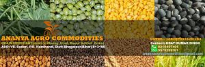 Indian Pulses