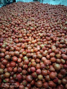 pomegranate fruit