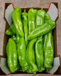 Green Chilli