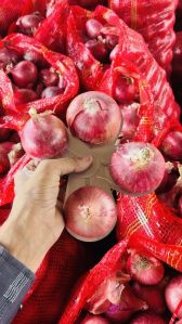 Nashik Onion