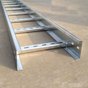 GI Ladder Cable Tray