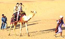 rajasthan camel safari tour