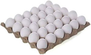 Poultry Eggs