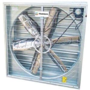 Tranquil 36 Inch Poultry Exhaust Fan