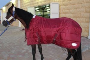 Horse Stable Blanket