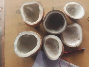 oil coconut copra