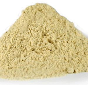 Vital Wheat Gluten Powder