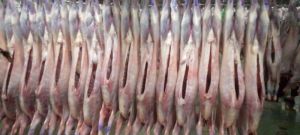 mutton processing unit