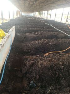 varmicompost