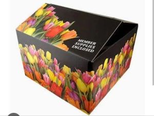 5 ply Mango packaging Box