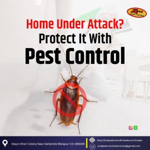 cockroach control services