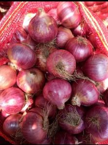 Red Onion