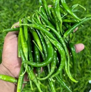 Fresh Green Chilli