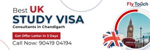 Study Visa Consultant