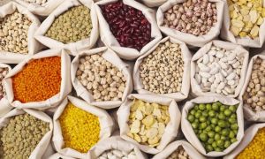 Organic Pulses