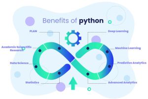 python development services