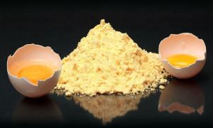 Egg Yolk Powder