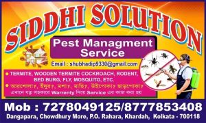 foodfly control service