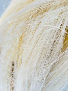 Sisal Fibre