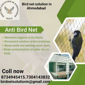 Bird Net solution