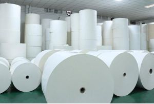 Coated Paper