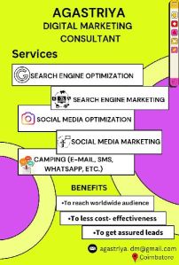 Search Engine Optimization