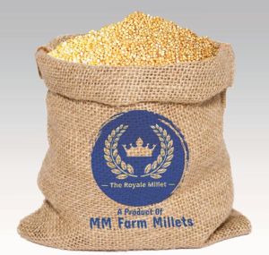 foxtail millet - thinai