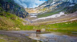 Hampta Pass Trek