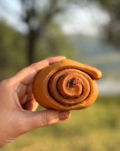 Whole Wheat Cinnamon Rolls