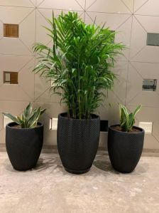 frp planters premium quality Good product