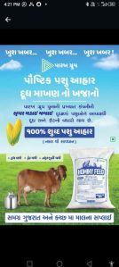 Hominy Cattle Feed