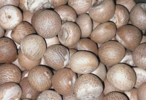 areca nut