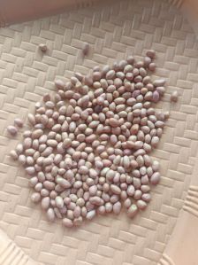 Graded Groundnut