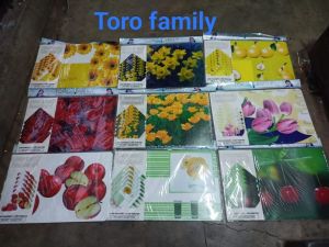 Toro family mat