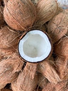 Coconut