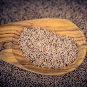 Psyllium Seeds