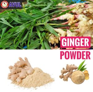 Dehydrated Ginger Powder