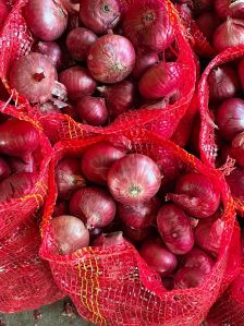 Fresh Red Onion