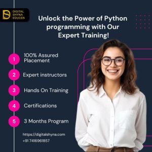 Python itraining institute