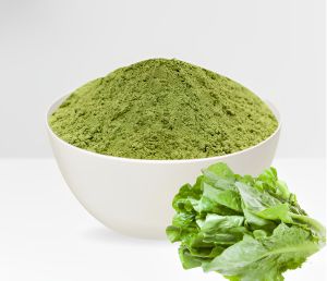 Spray Dried Lettuce Powder