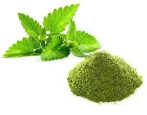 Spray Dried Mint Powder