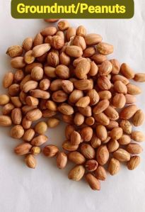 Groundnut Seeds