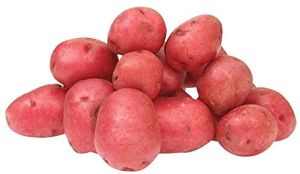 Fresh Red Potato