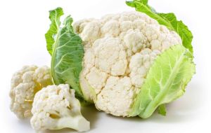 Fresh Cauliflower