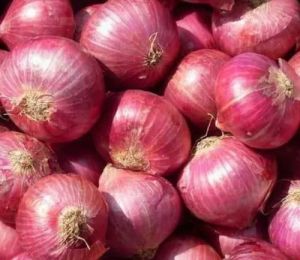 Fresh Red Onion