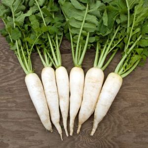 Fresh White Radish