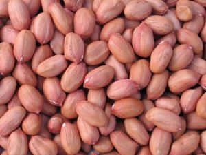 Raw Groundnut Seeds