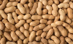 Shelled Groundnut