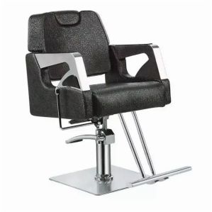 professional salon chair / model no 613